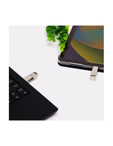 HP HPFD206C-256 unità flash USB 256 GB USB Type-A / USB Type-C 3.2 Gen 2 (3.1 Gen 2) Argento