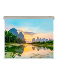 EL PROFESSIONAL 300X250 2