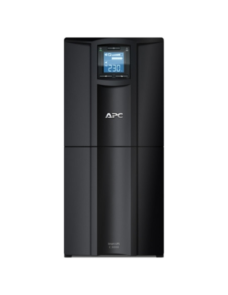 APC SMC3000I gruppo di continuità (UPS) A linea interattiva 3 kVA 2100 W