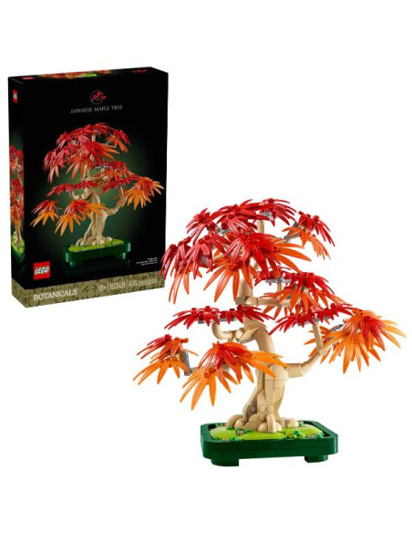 BONSAI DI ACERO ROSSO GIAPPONESE