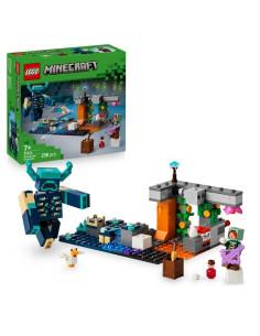 L INCONTRO CON IL SORVEGLIANTE