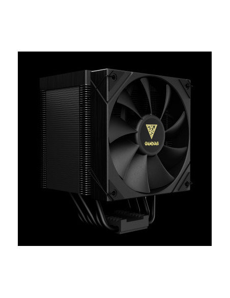 GAMDIAS RAFF.CPU BOREAS M2-61L 4.3'' LCD DISPLAY 272*480 HYD FAN