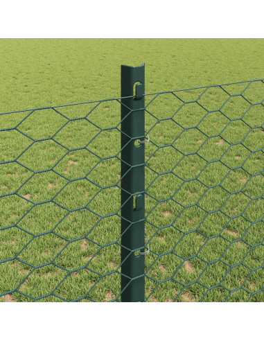 Recinzione con Posto Verde 1,2 x 25 m Acciaio