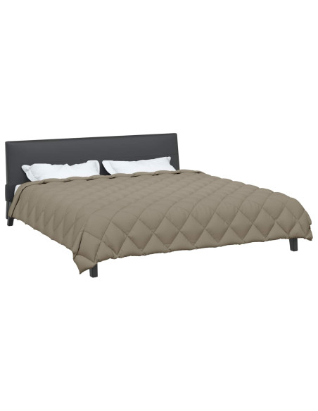 Duvet Invernale Grigio chiaro 220 x 260 cm Microfibra