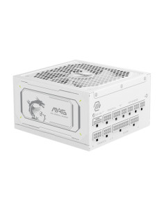 MSI ALIMENTATORE EU, 1000W, FULLY MODULAR, 80 PLUS GOLD, COLOR BOX