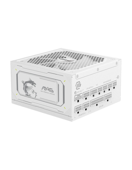 MSI ALIMENTATORE EU, 1000W, FULLY MODULAR, 80 PLUS GOLD, COLOR BOX