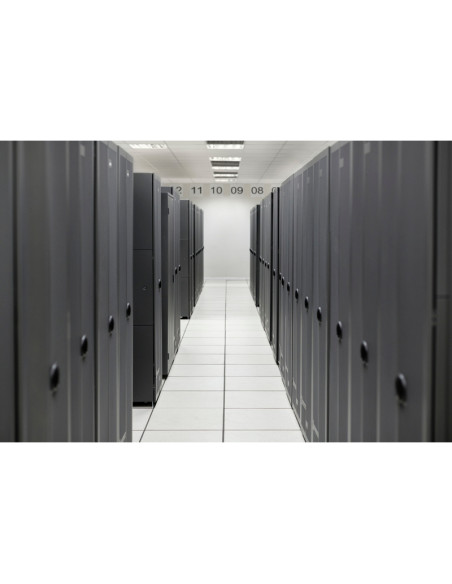 ACCESSORI VARI INTEL HPE MR416I-O GEN11 SPDM STORAGE CNT