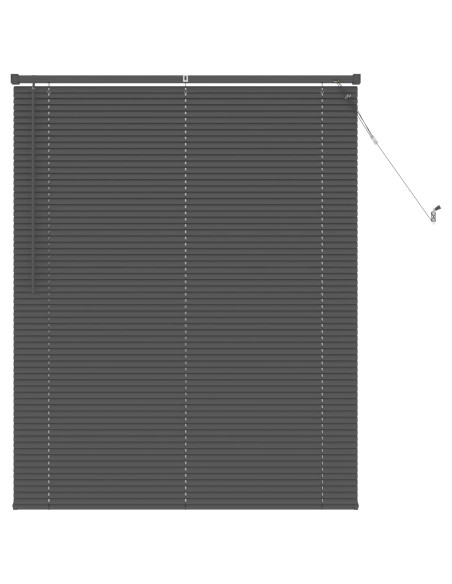 Tenda Veneziana Regolabile Grigio Argento 150 x 110 cm PVC