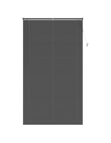 Tenda Veneziana Regolabile Grigio Argento 213 x 120 cm PVC