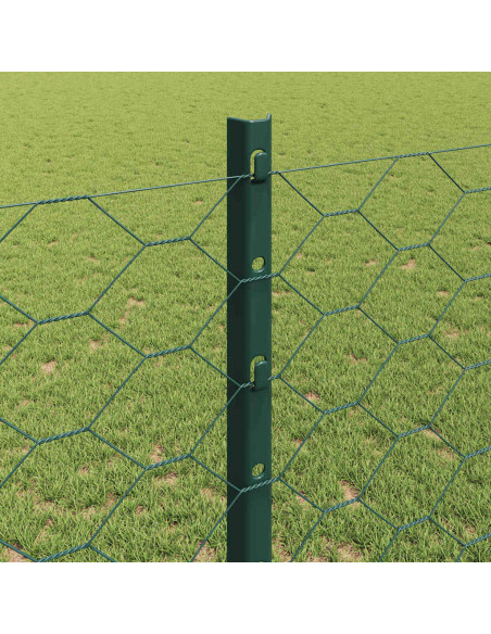 Recinzione con Posto Verde 1,2 x 25 m Acciaio