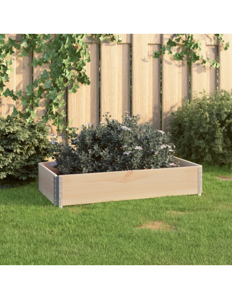 Fioriera Rialzata 50x100 cm in Legno Massello di Pino