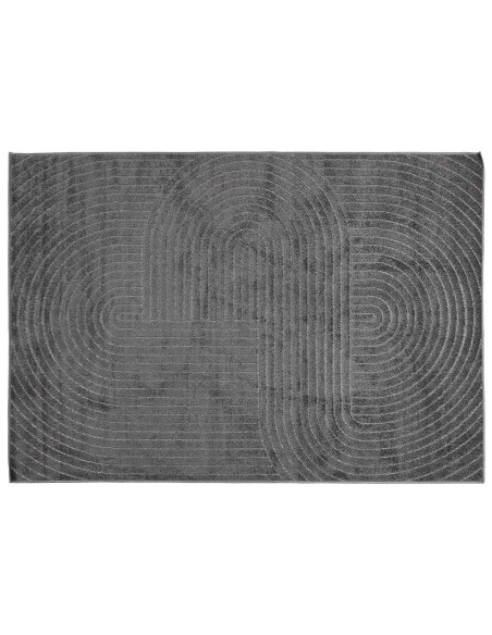 Tappeti per area HUARTE Antracite 170 x 120 cm Poliestere