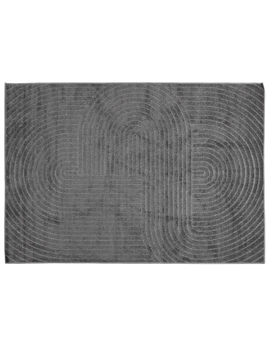 Tappeti per area HUARTE Antracite 340 x 240 cm Poliestere