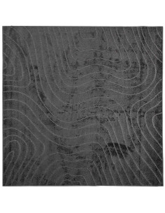 Tappeti per area HUARTE Antracite 200 x 200 cm Poliestere 2
