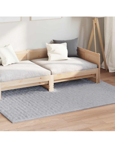 Tappeti per area HUARTE Grigio 170 x 120 cm Poliestere