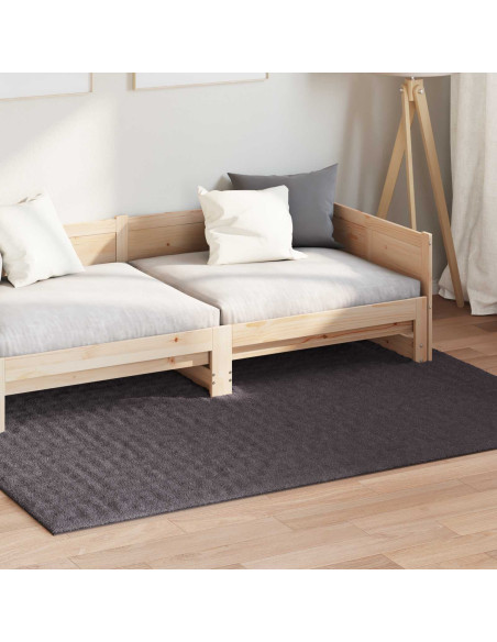 Tappeti per area HUARTE Antracite 230 x 160 cm Poliestere