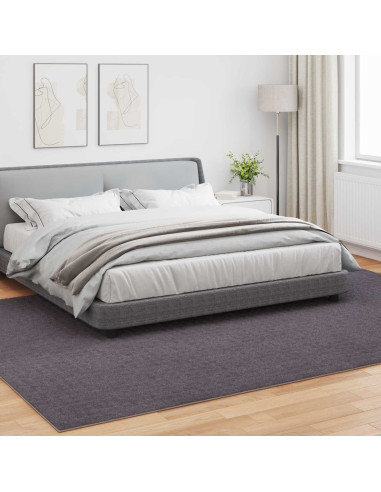 Tappeti per area HUARTE Antracite 340 x 240 cm Poliestere