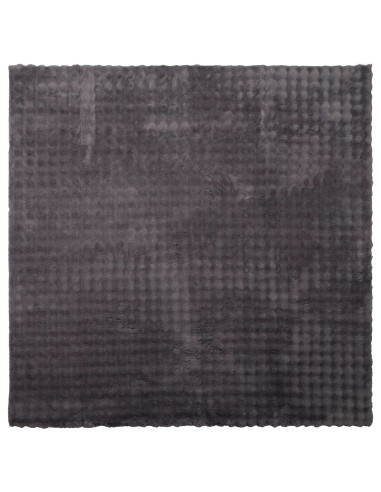 Tappeti per area HUARTE Antracite 200 x 200 cm Poliestere