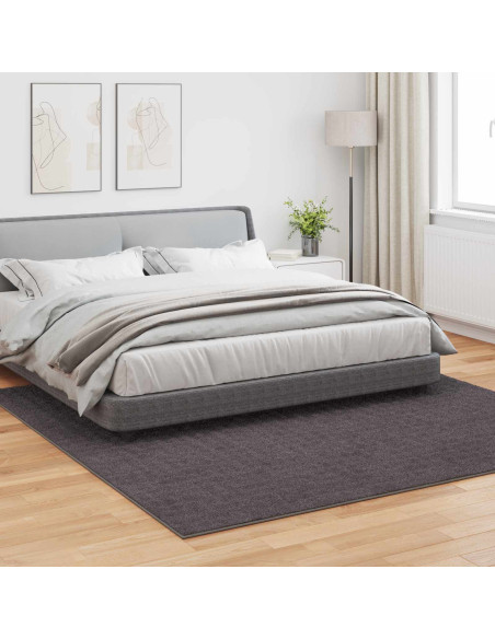 Tappeti per area HUARTE Antracite 240 x 240 cm Poliestere