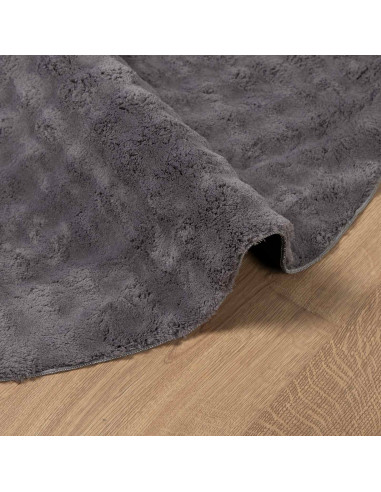 Tappeti per area Rotondo HUARTE Antracite Ø 160 CM Poliestere