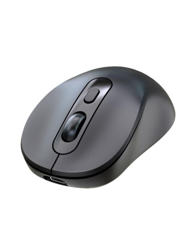 MOUSE DUAL-WIREL RECARG NERO