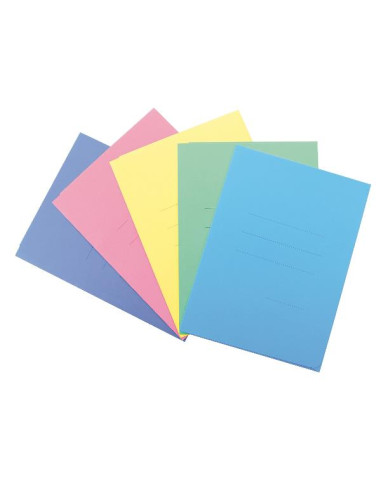 CF25CARTELLINE CARTEX 3L AVION PAST