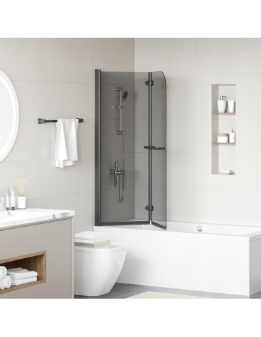 Involucro Doccia Nero 120 x 140 cm Vetro ESG e Alluminio