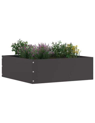 Bordura per Prato Nero 40 x 40 x 13 cm Acciaio