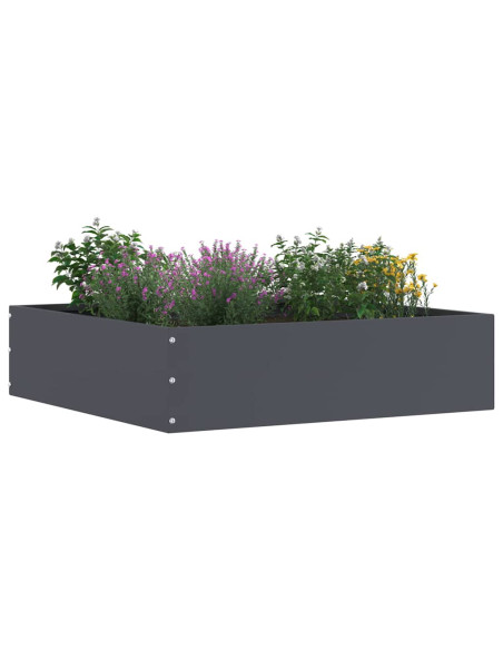 Bordura per Prato Antracite 50 x 50 x 13 cm Acciaio