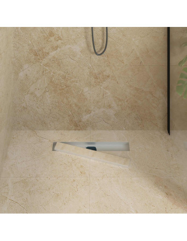 Scarico doccia 2-in-1 con sifone a 360° Argento