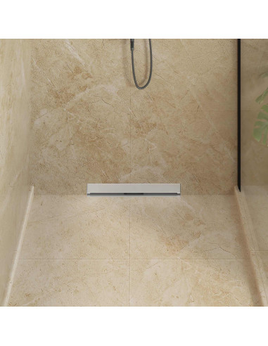 Scarico Doccia da Parete Argento 50 cm Acciaio Inox 304