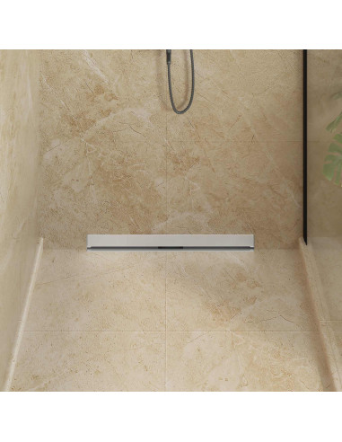 Scarico Doccia da Parete Argento 70 cm Acciaio Inox 304