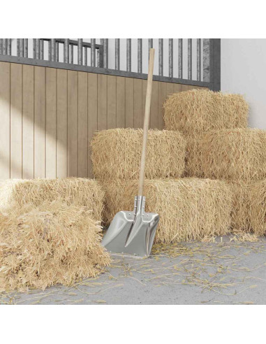 Testa di Pala Argento 45 x 38 cm Alluminio