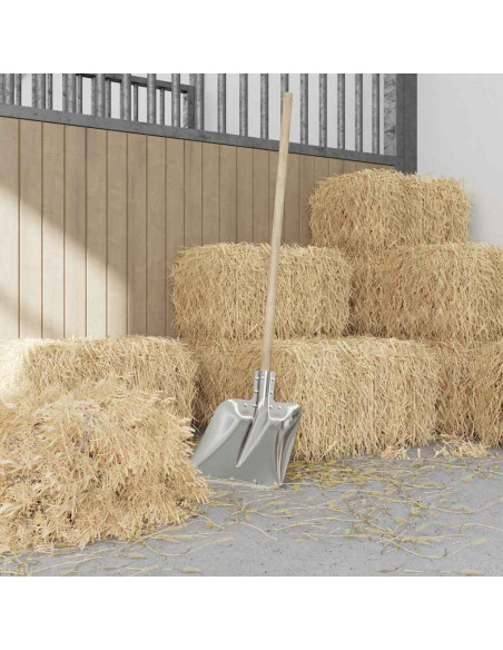 Testa di Pala Argento 45 x 38 cm Alluminio