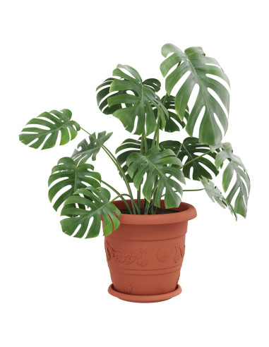 Vasi per Piante 6 pcs Rosso Mattone Ø 26 x 21.5 cm Plastica