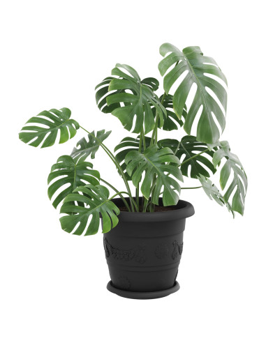 Vasi per Piante 24 pcs Nero Ø 26 x 21.5 cm Plastica