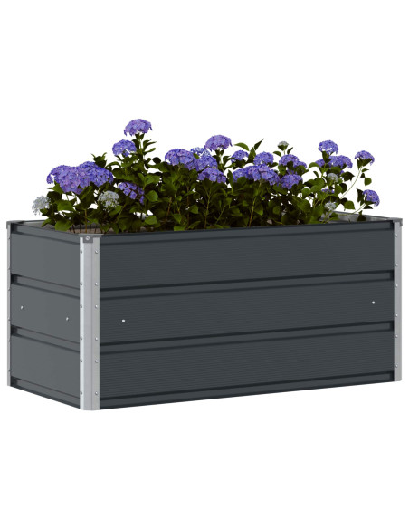 Fioriera Antracite 100 x 50 x 45 cm Acciaio zincato