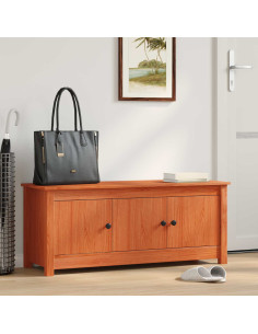 Mobile per scarpe Marrone Cera 110 x 38 x 45,5 cm