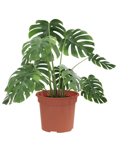 Vaso Rotondo per Fiori 6 pcs Rosso Mattone Ø 12,5 x 10 cm