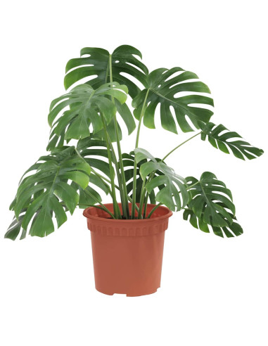 Vaso Rotondo per Fiori 6 pcs Rosso Mattone Ø 15 x 12 cm