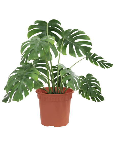 Vaso Rotondo per Fiori 6 pcs Rosso Mattone Ø 15 x 12 cm