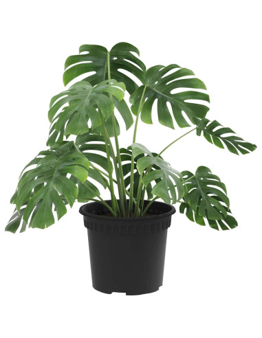 Vaso Rotondo per Fiori 6 pcs Nero Ø 12,5 x 10 cm Plastica