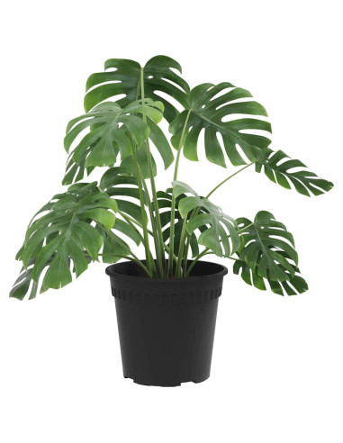 Vaso Rotondo per Fiori 6 pcs Nero Ø 19 x 16 cm Plastica