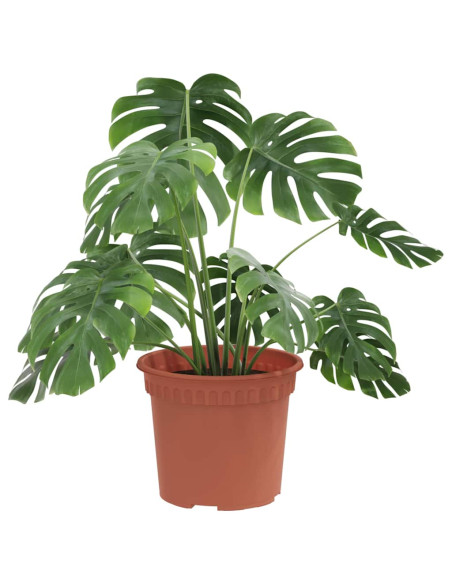 Vaso Rotondo per Fiori 24 pcs Rosso Mattone Ø 12,5 x 10 cm