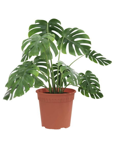 Vaso Rotondo per Fiori 24 pcs Rosso Mattone Ø 19 x 16 cm