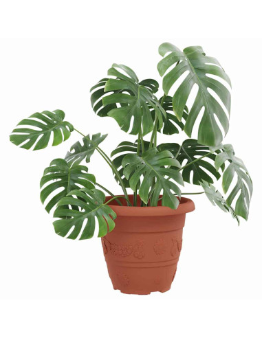 Vaso Rotondo per Fiori 6 pcs Rosso Mattone Ø 26 x 21.5 cm