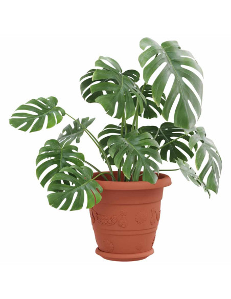 Vassoio Rotondo per Fiori 6 pcs Rosso Mattone Ø 17,5 x 2 cm