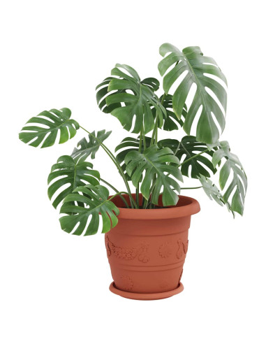 Vassoio Rotondo per Fiori 6 pcs Rosso Mattone Ø 23,5 x 2,5 cm