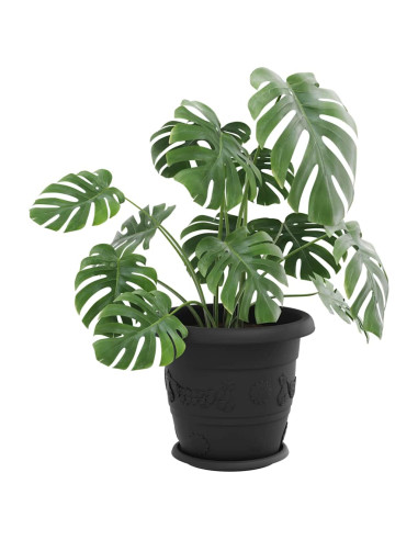 Vassoio Rotondo per Fiori 6 pcs Nero Ø 14 x 2 cm Plastica