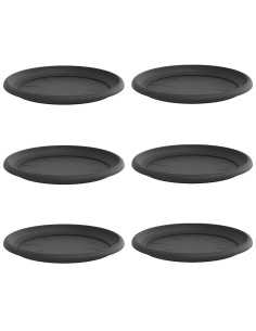 Vassoio Rotondo per Fiori 6 pcs Nero Ø 14 x 2 cm Plastica 2